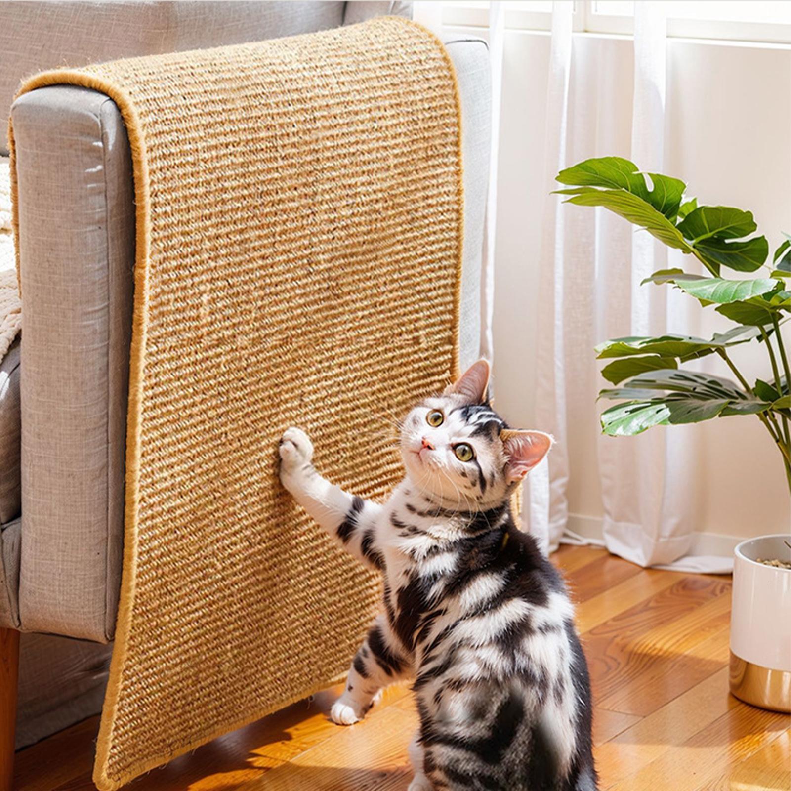 Self-Adhesive Cat Scratcher Ma - Cutting Mat Self Heal recension och pris